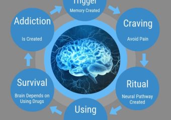 Brain Damage
