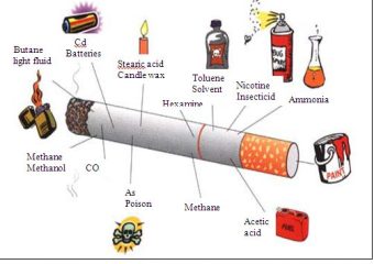 Effects of Smoking